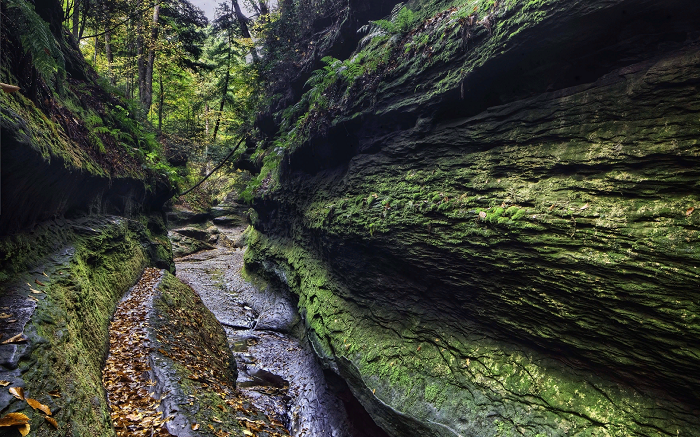 Natural Wonders of the World of Indiana
