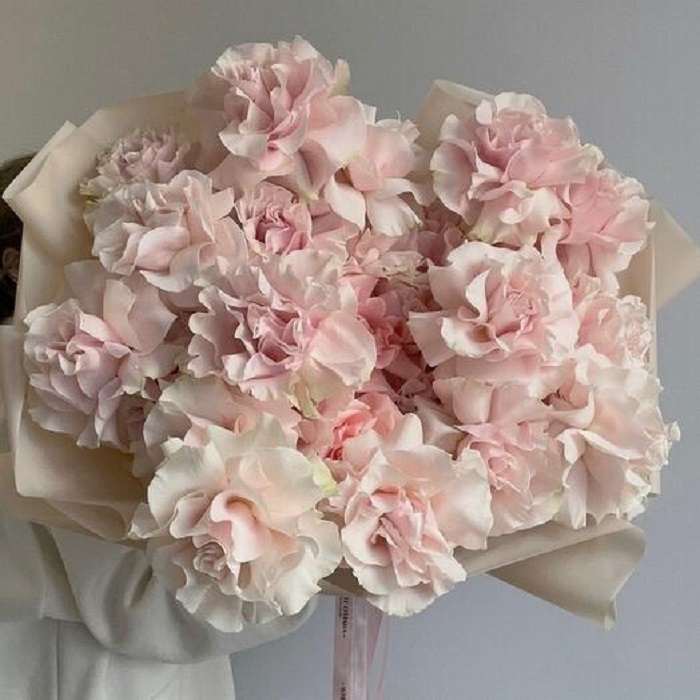 Французские розы: разнообразие сортов, идеи и рекомендации по оформлению